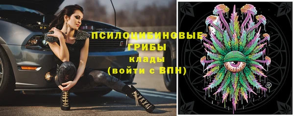 Альфа ПВП Куйбышев