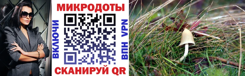 нарко площадка какой сайт  Называевск  Псилоцибиновые грибы GOLDEN TEACHER 